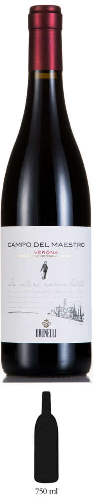 Campo del Maestro 2020