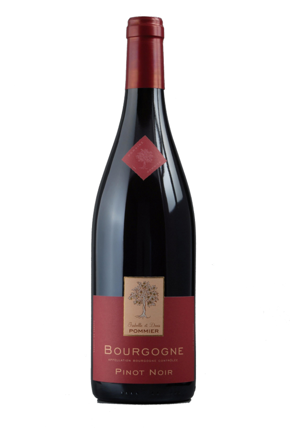 Bourgogne Pinot Noir 2022