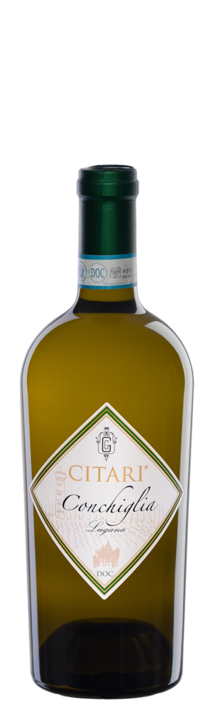 Lugana Conchiglia 2025